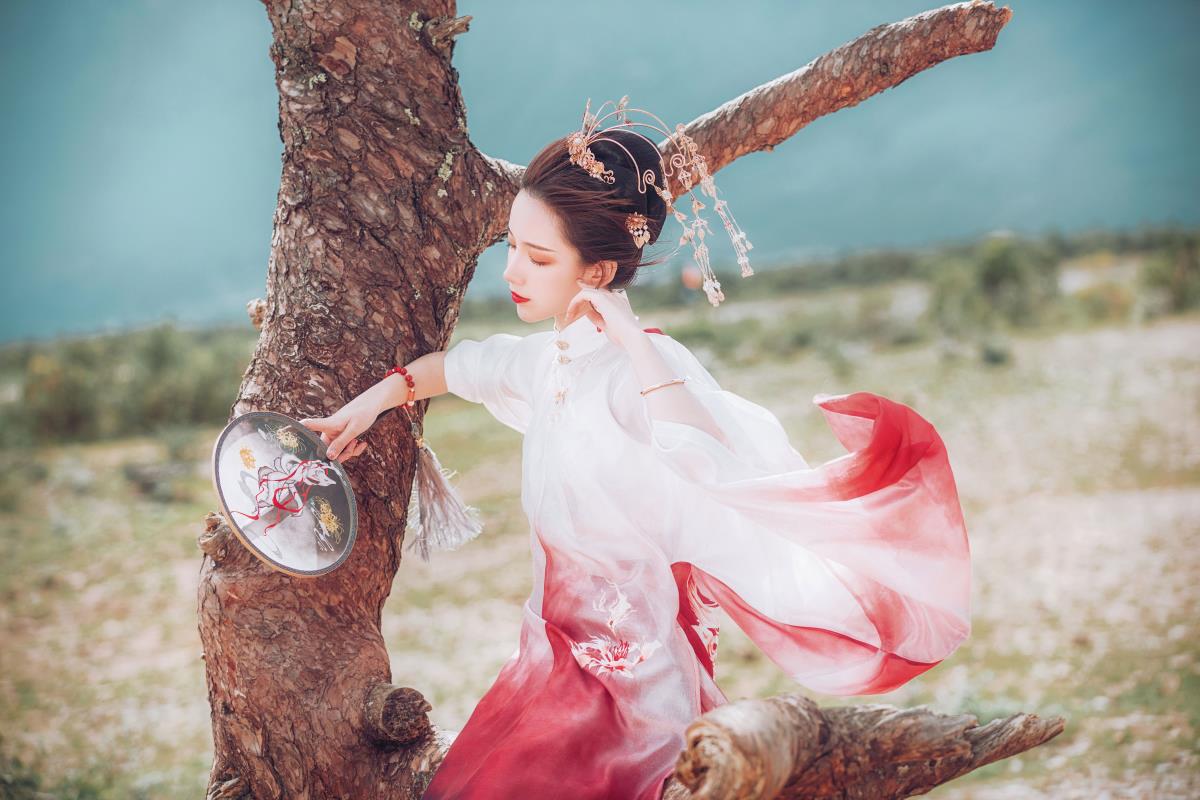 火狐舞玉龙，汉服美人韵插图4