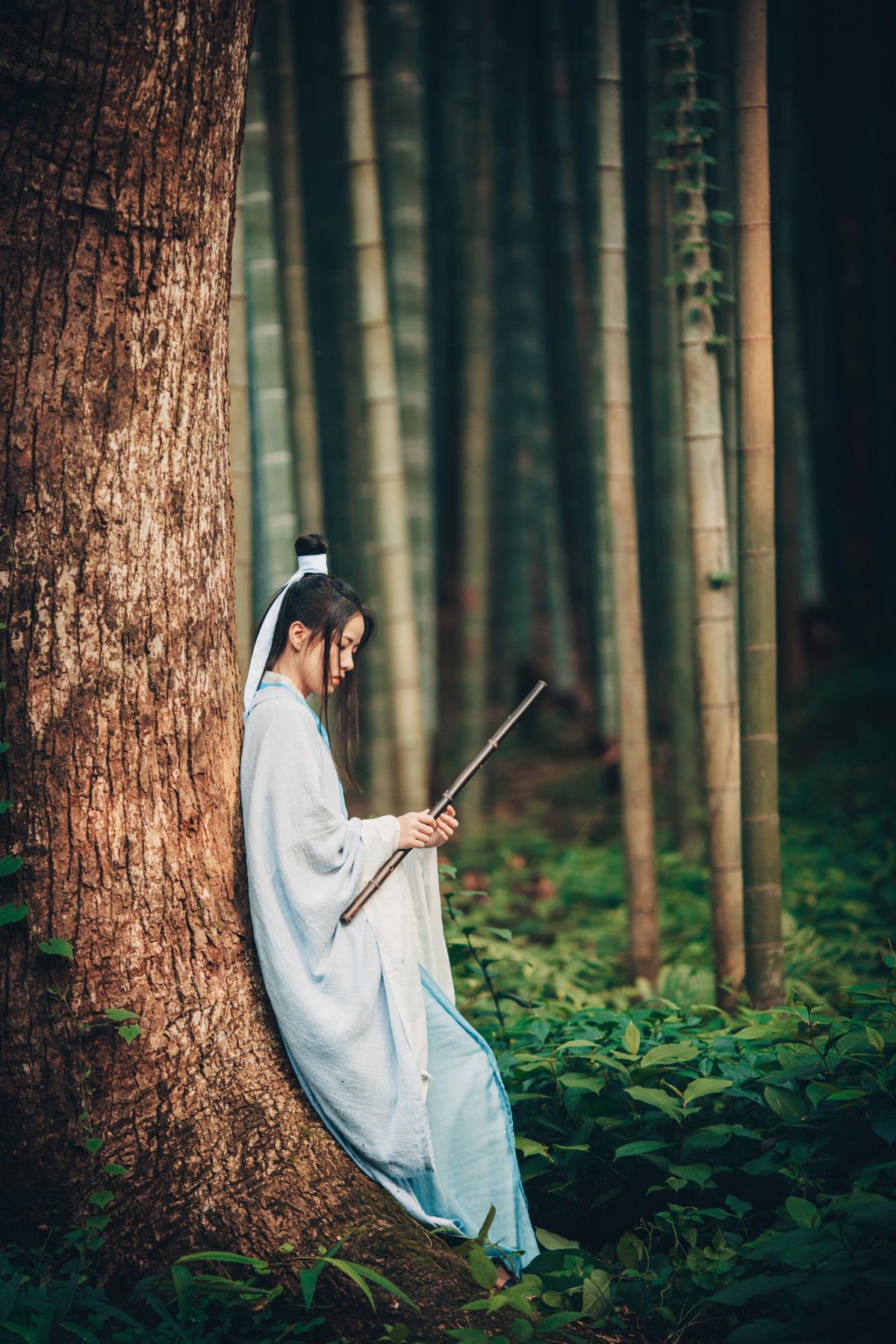 侠客行：竹林山林间的诗意江湖