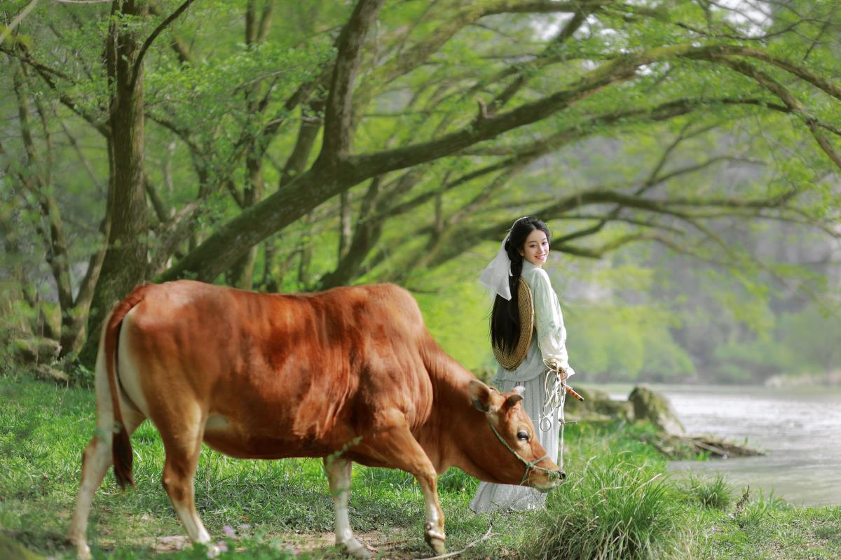 《牧牛时光：笑对山花插满头的唯美田园行》 解析：将诗句中的关键元素“牧牛”“山花插满头”等组合，并添加“笑对”一词增添意境，以“牧牛时光”为主题，展现出一种唯美田园的意境，符合要求生成了标题。