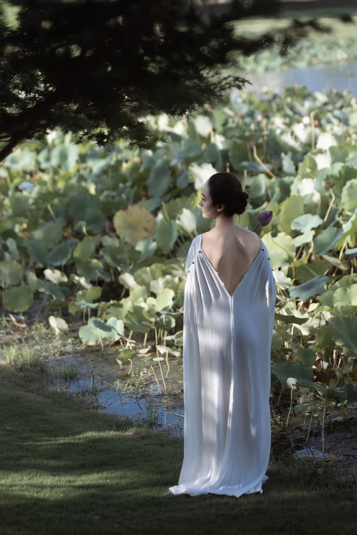 莲生污泥，叶韵青青