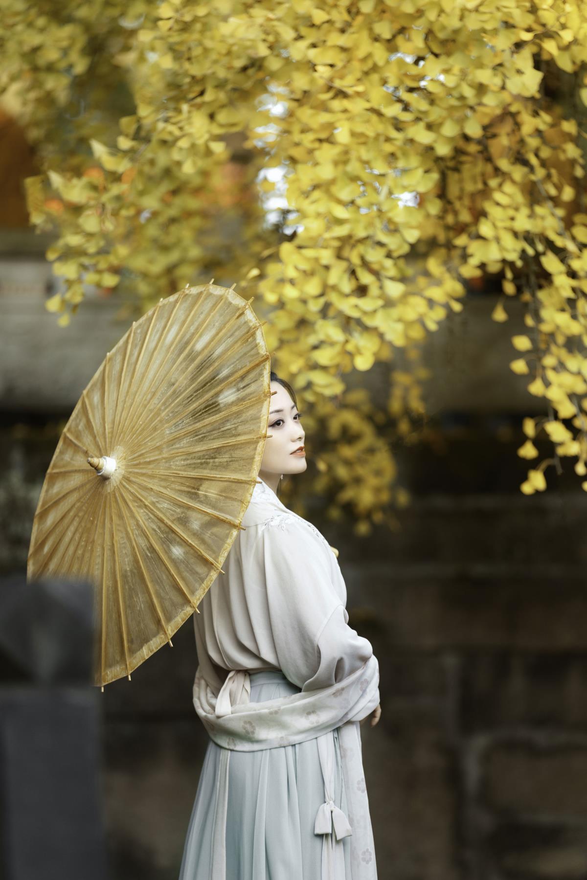 有心且有闲人的唯美世界