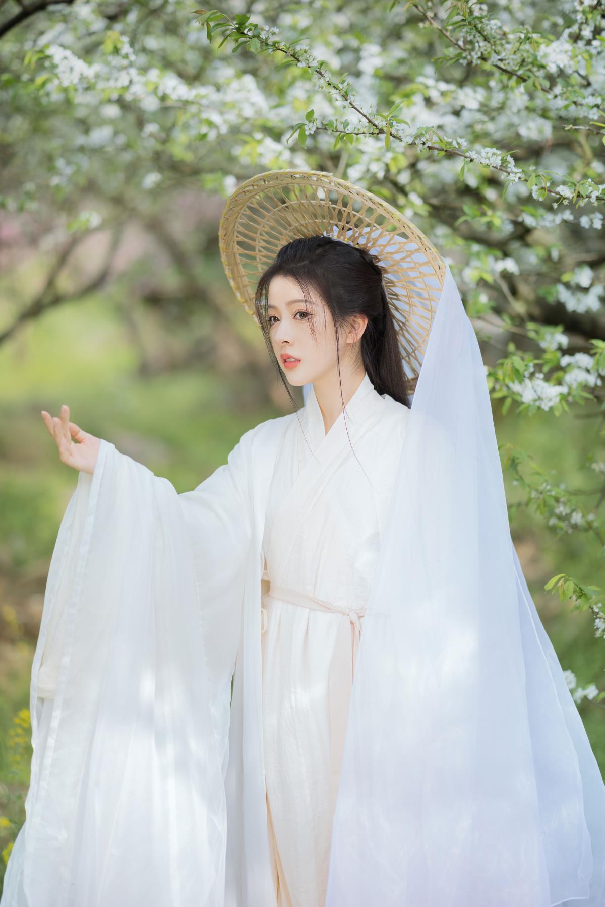 青绿花笺下，沾衣杏花雨与吹面杨柳风的诗意邂逅