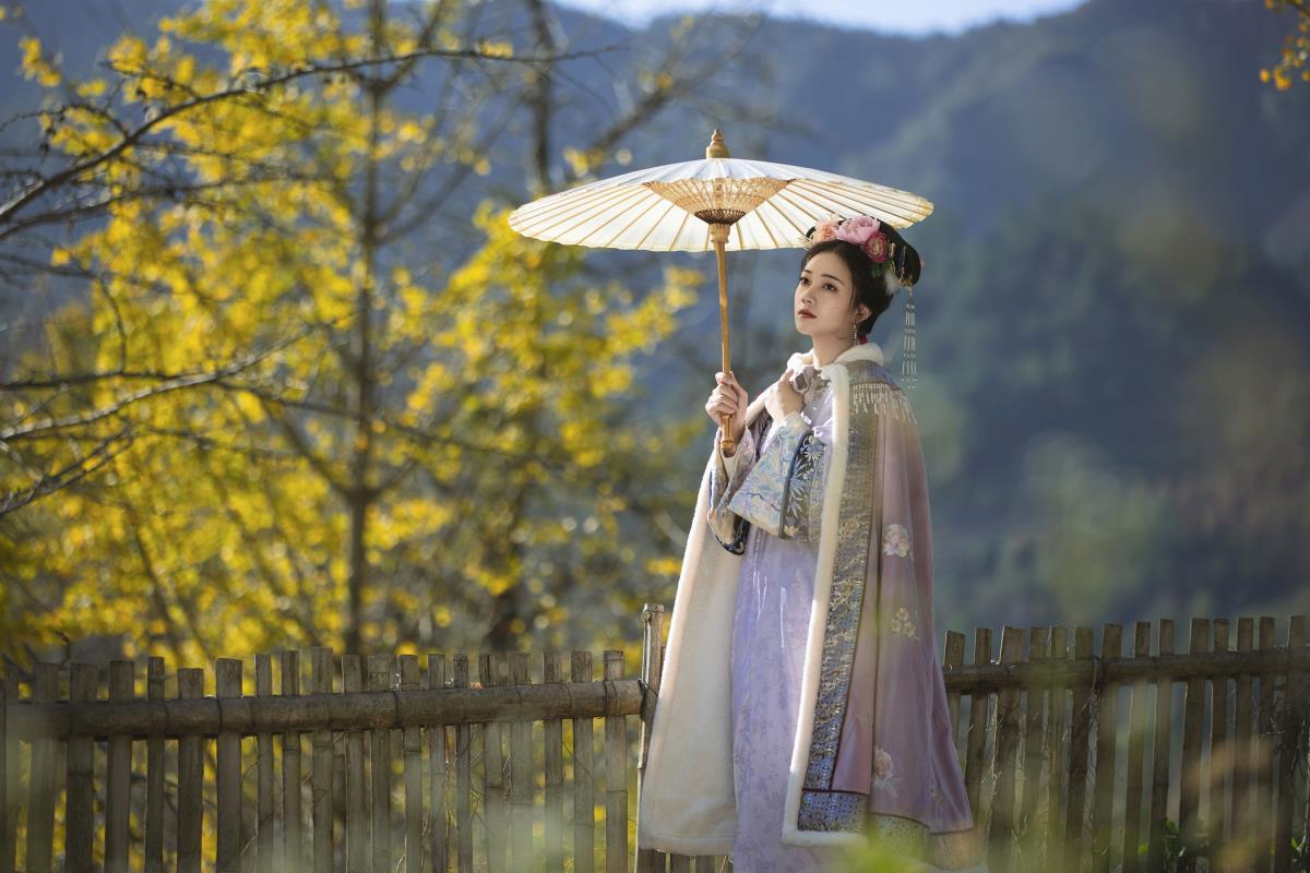 空余枝：年少情深亦能相看两厌 树林间的伤感意境与氛围