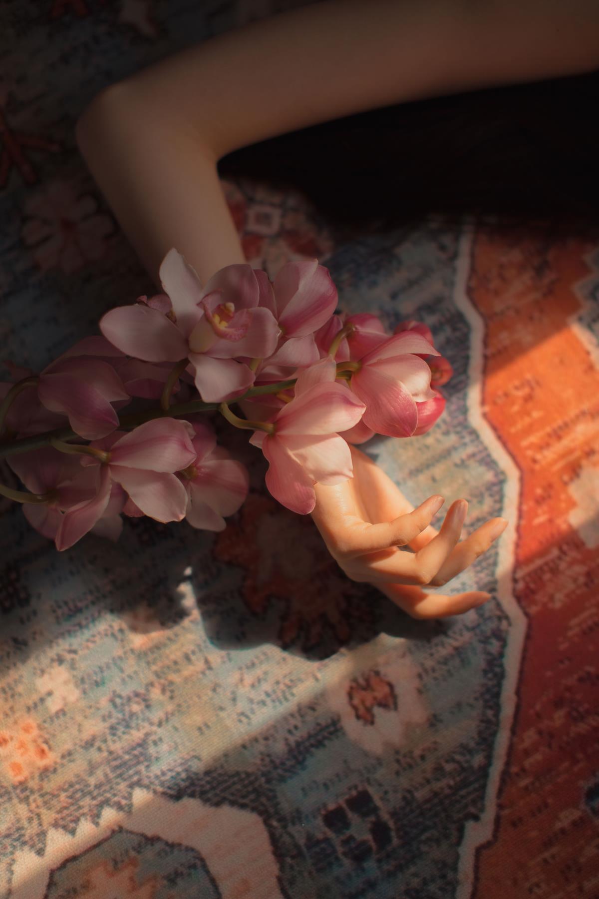 大花蕙兰：光影交织间的偏爱与情绪