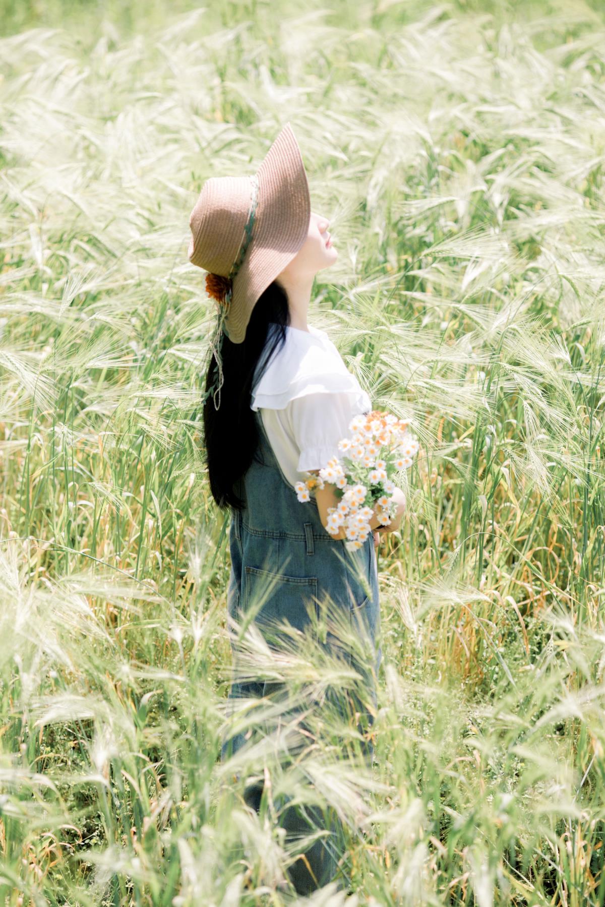 守望南方麦田的诗意意境