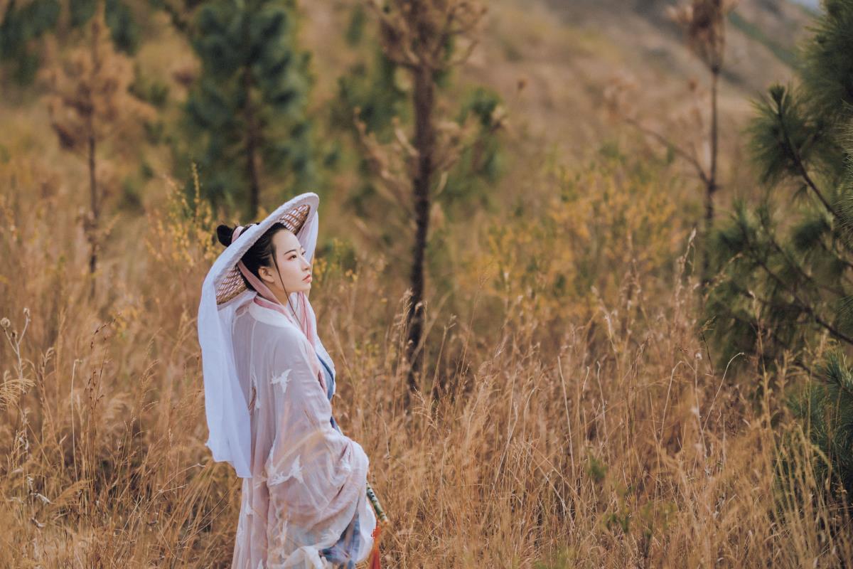 苍山松影，伴我天涯情韵间