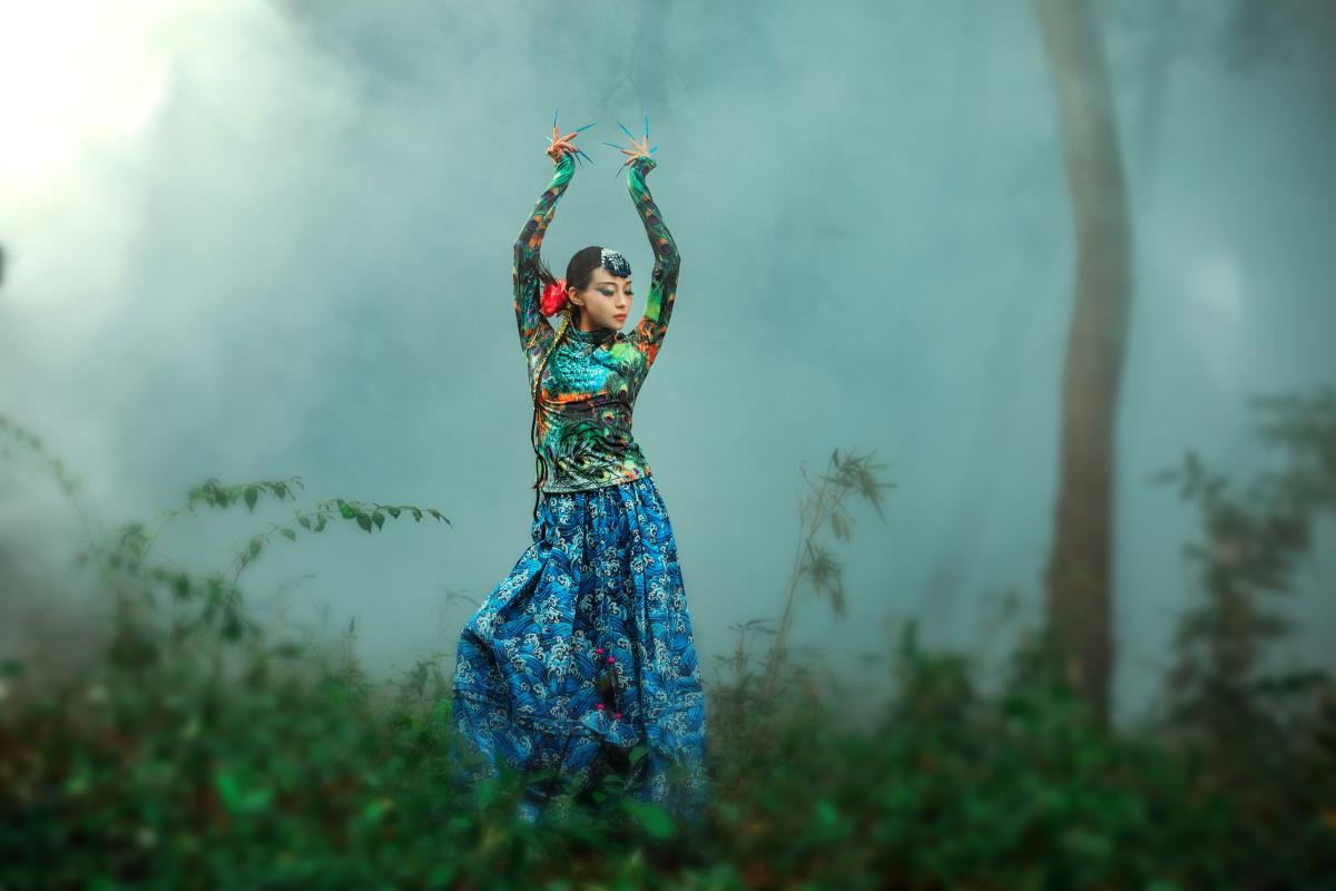 《孔雀林：青山绿水间的绮梦与孤芳》