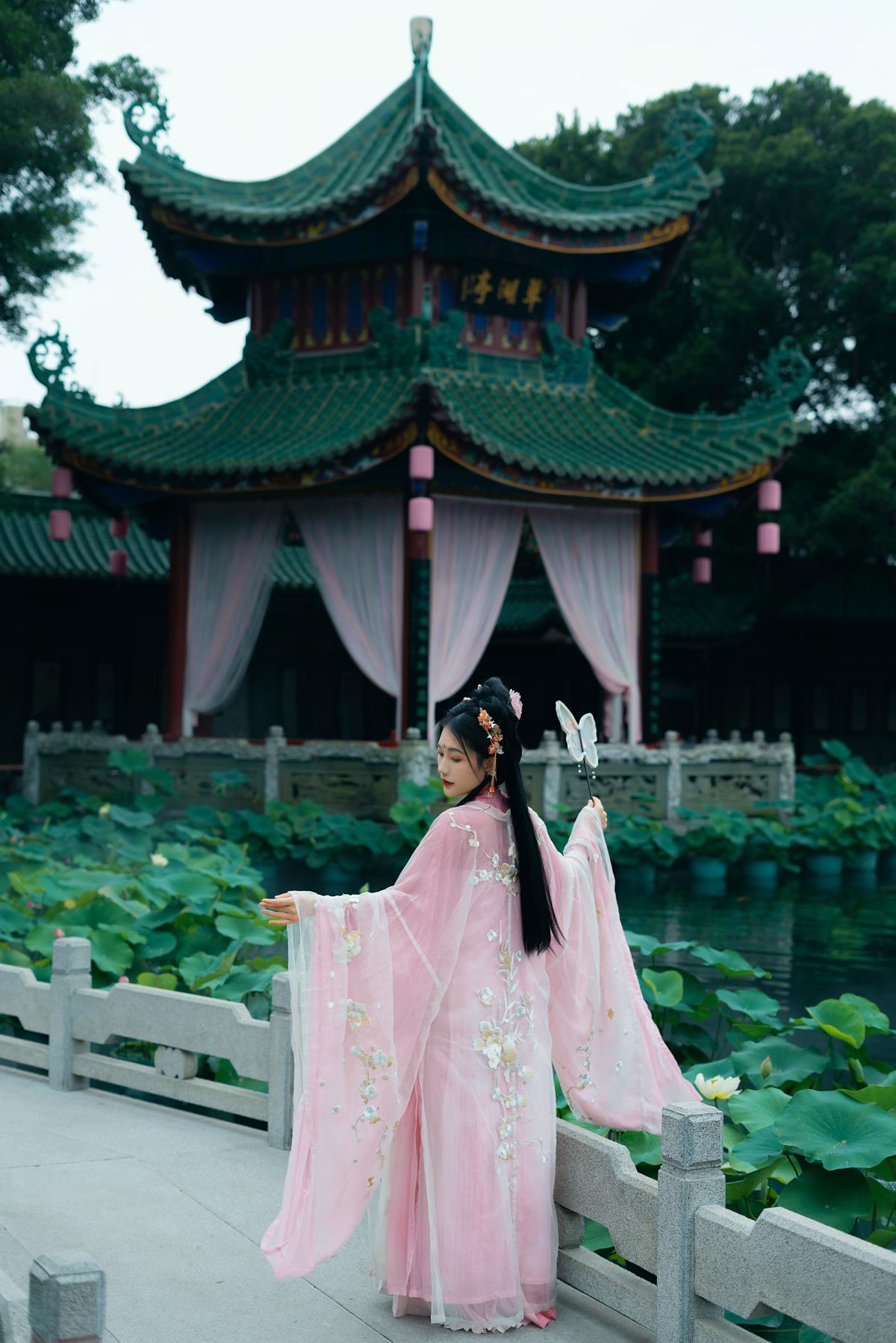 夏雨荷韵：今日荷花别样红