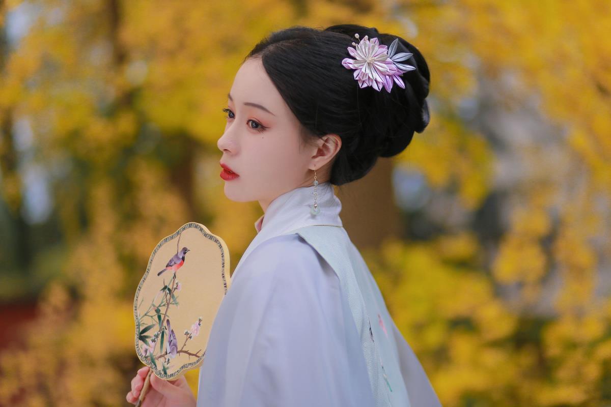 《天师洞前银杏吟：古装古风里的青城翠影》