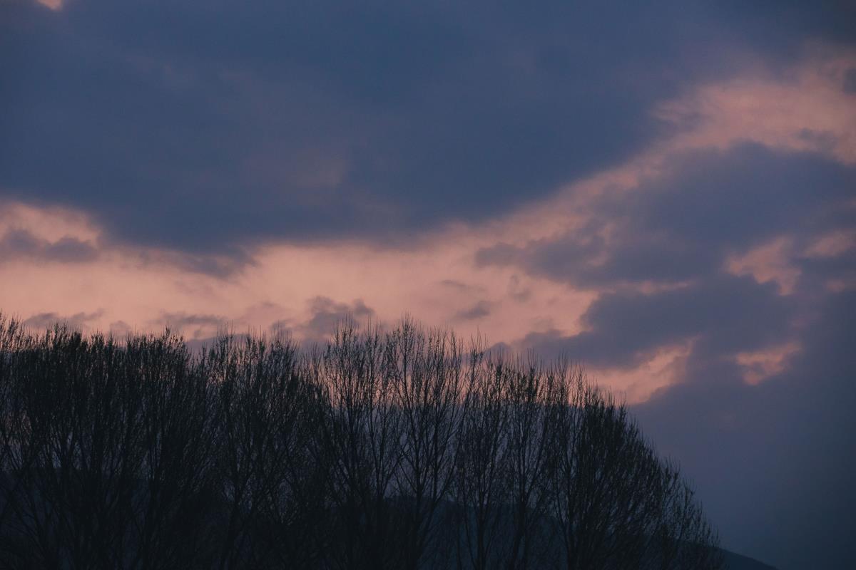 香雾缭绕处，复古风光绘意境画卷