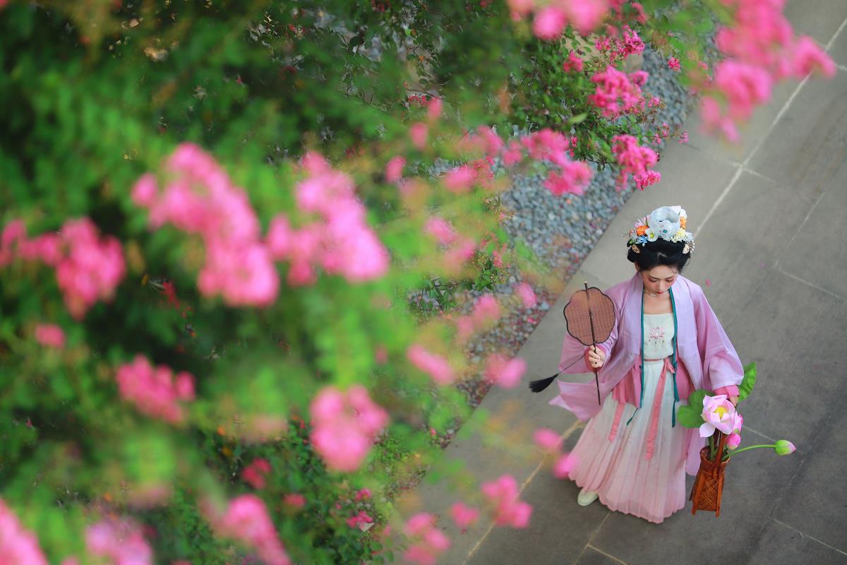 紫薇花开时的宋制汉服唯美古风写真