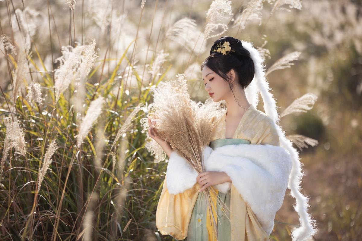 芦苇晚风鸣，绘万水千山秋意 古风汉服韵，赏川原秋色美图 川原秋色里，听芦苇晚风孤舟行 古风唯美间，品芦苇秋色与汉服美图