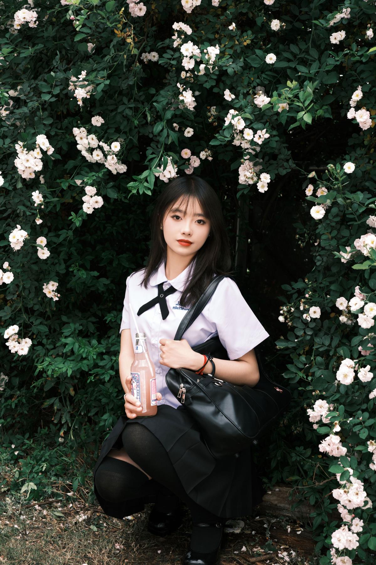 蔷薇少女：邂逅春日里的青春盛放