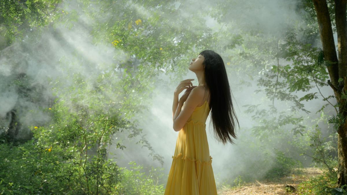 丁达尔树林：光影交织的夏日诗章