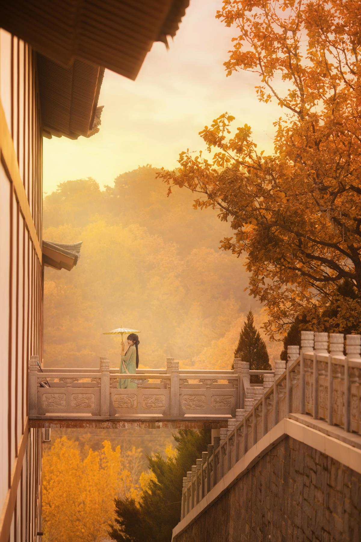 秋意汉服韵，古风画卷情：银杏叶间的唯美诗意