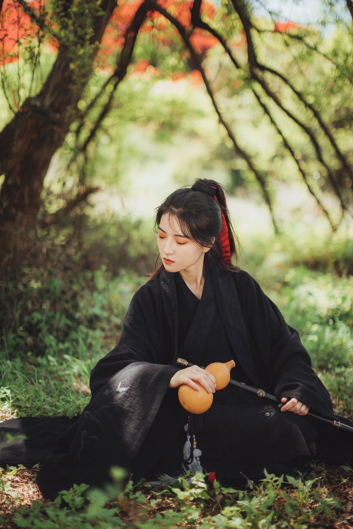 浪客剑影，玉箫侠踪：山林江湖间的谈笑与刀光