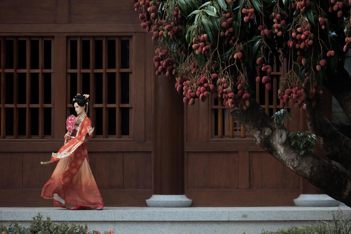 《古寺荔枝映唐风园林，檀画金蔓间荔枝红蜻蜓软》