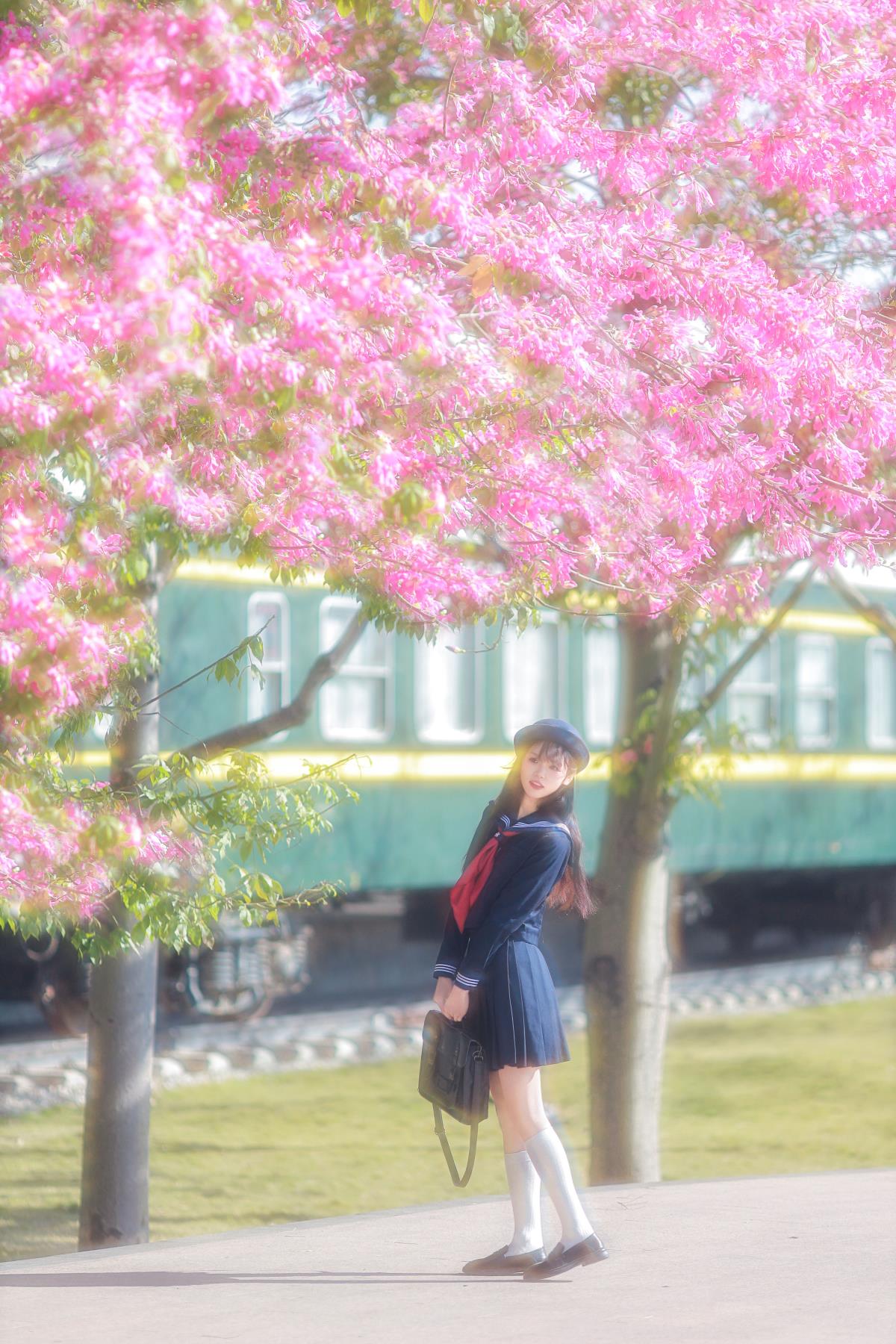 JK少女与异木棉：邂逅漫画般的浪漫氛围