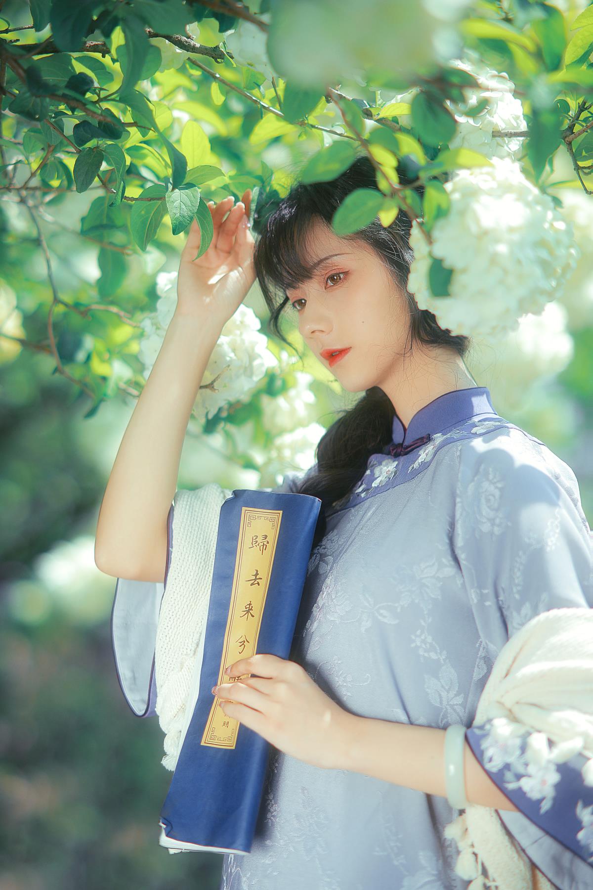 清欢里的白茶与风：等你赴浪漫旗袍之约