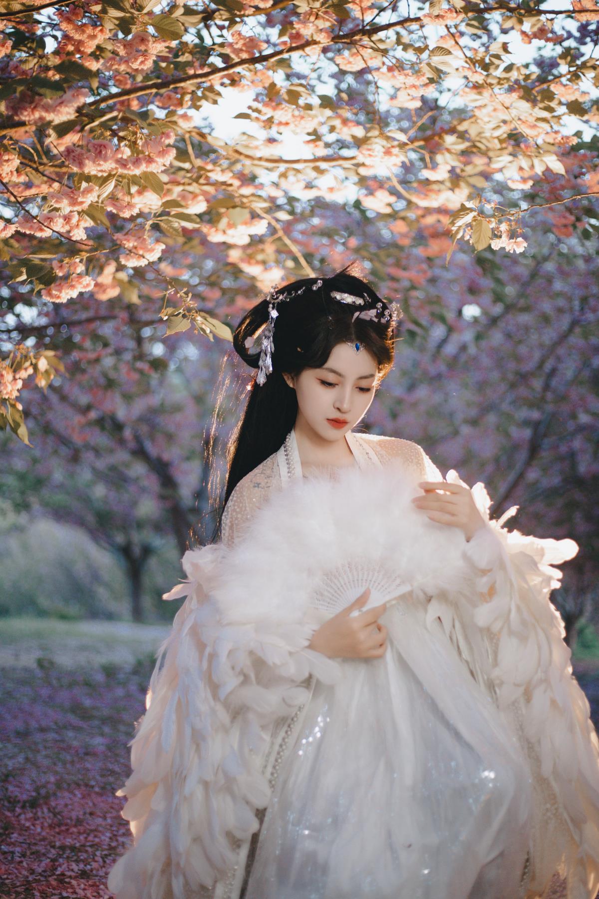 夜幕下花丛中耀眼的白凤，树林间尽显百鸟之王风范