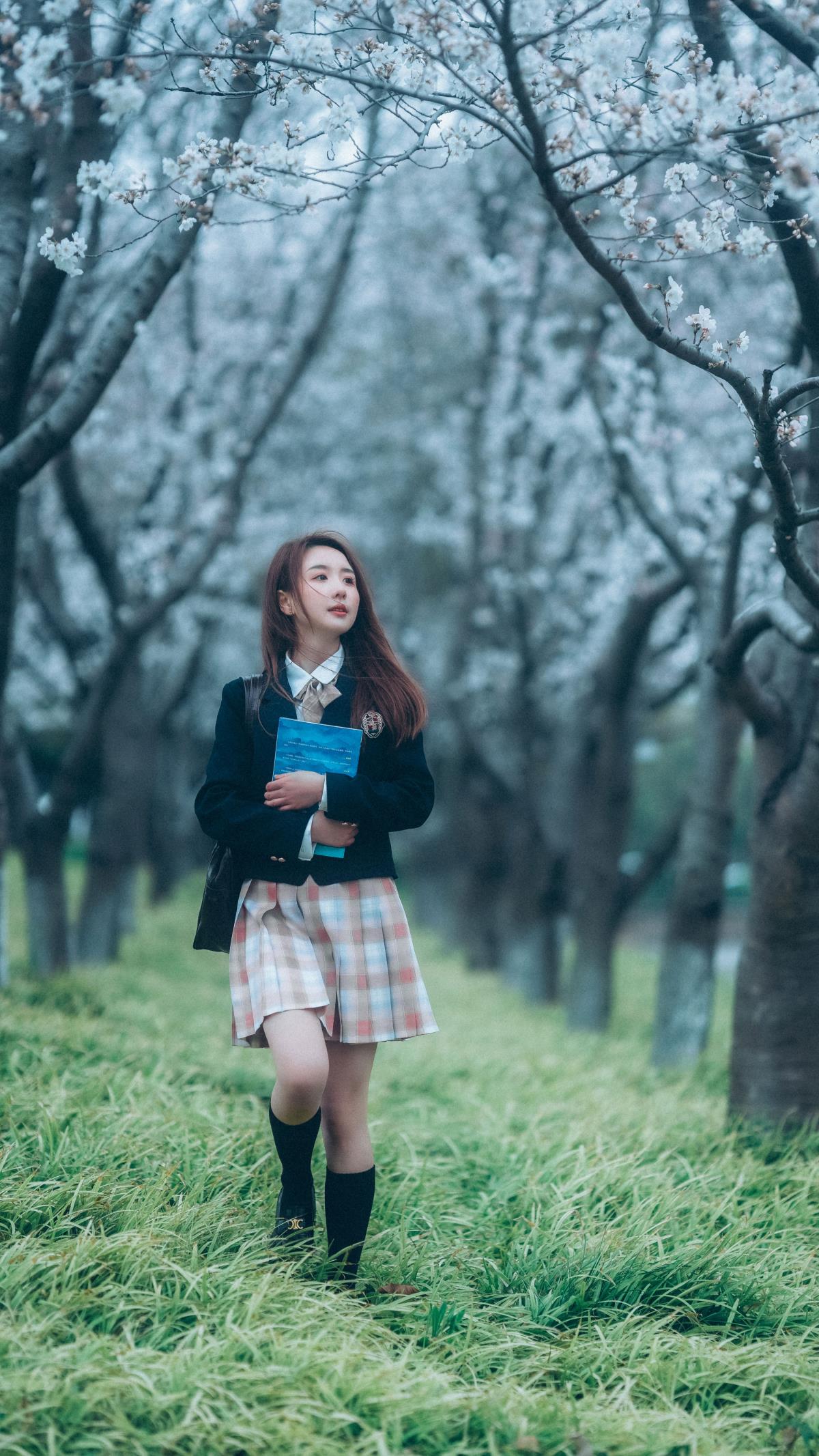 少女与樱：散落人间的天使诗篇