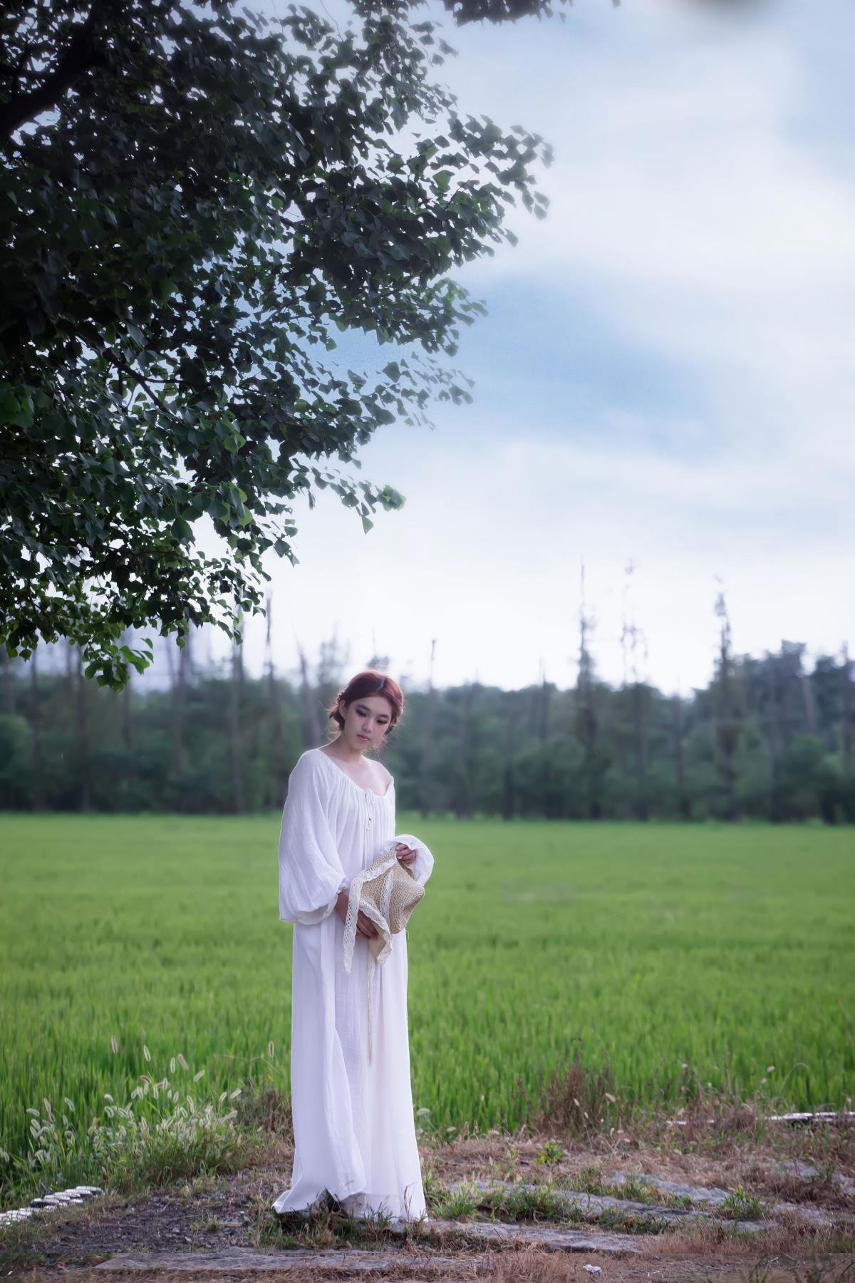 青青稻田：生长与收获交织的室外治愈诗篇