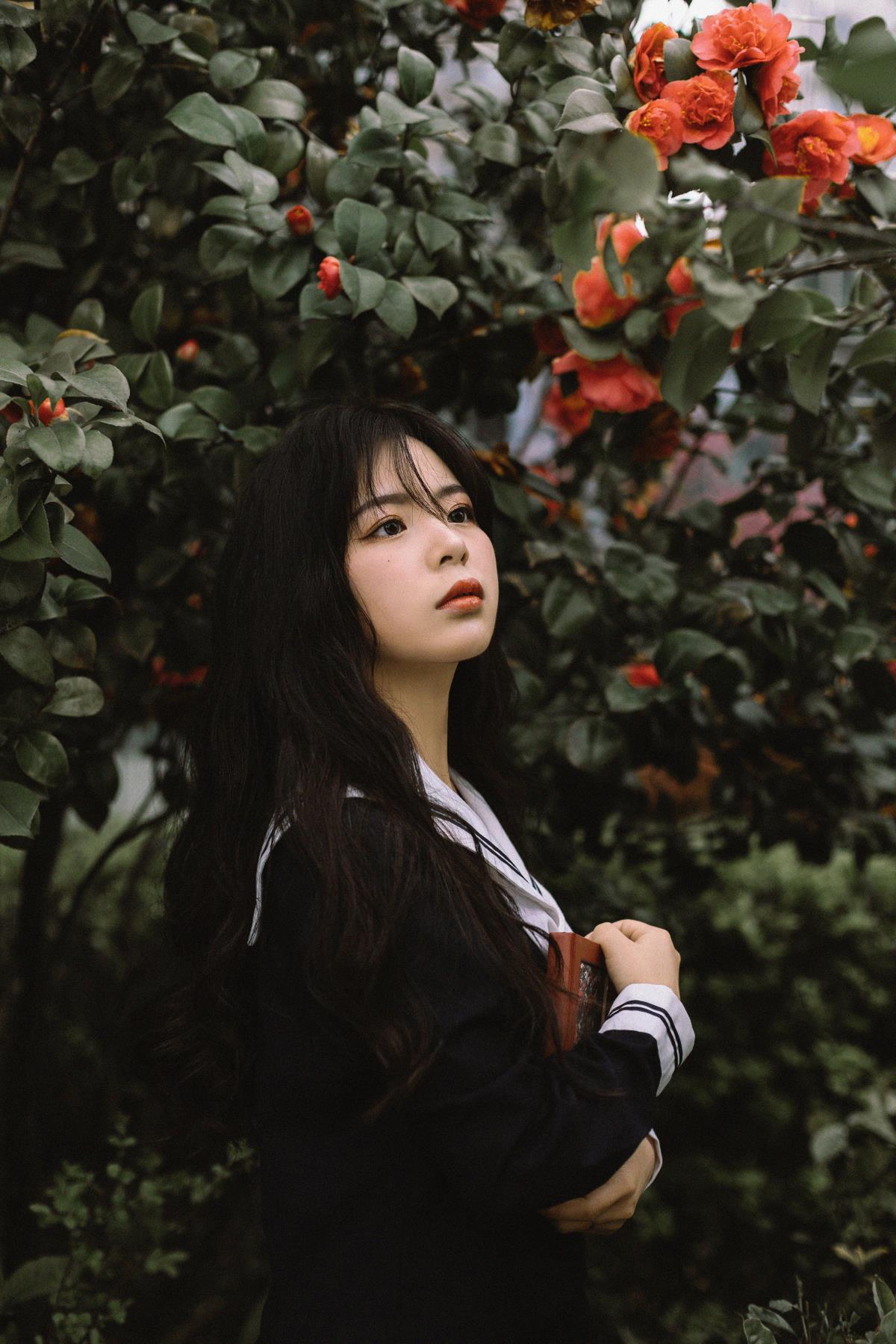 《茶花树下的JK少女：告别过去，逐梦前行》