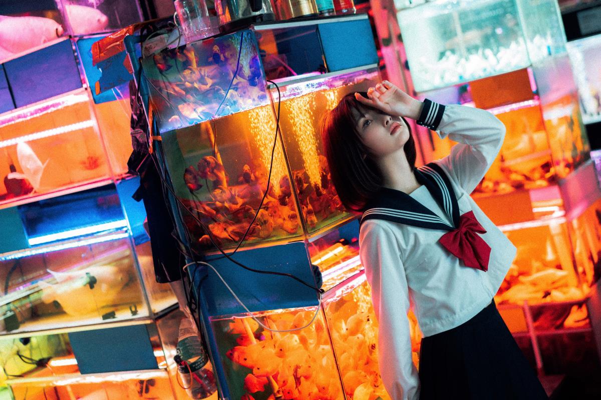 《金鱼JK与花鸟鱼虫间的王家卫光影梦》