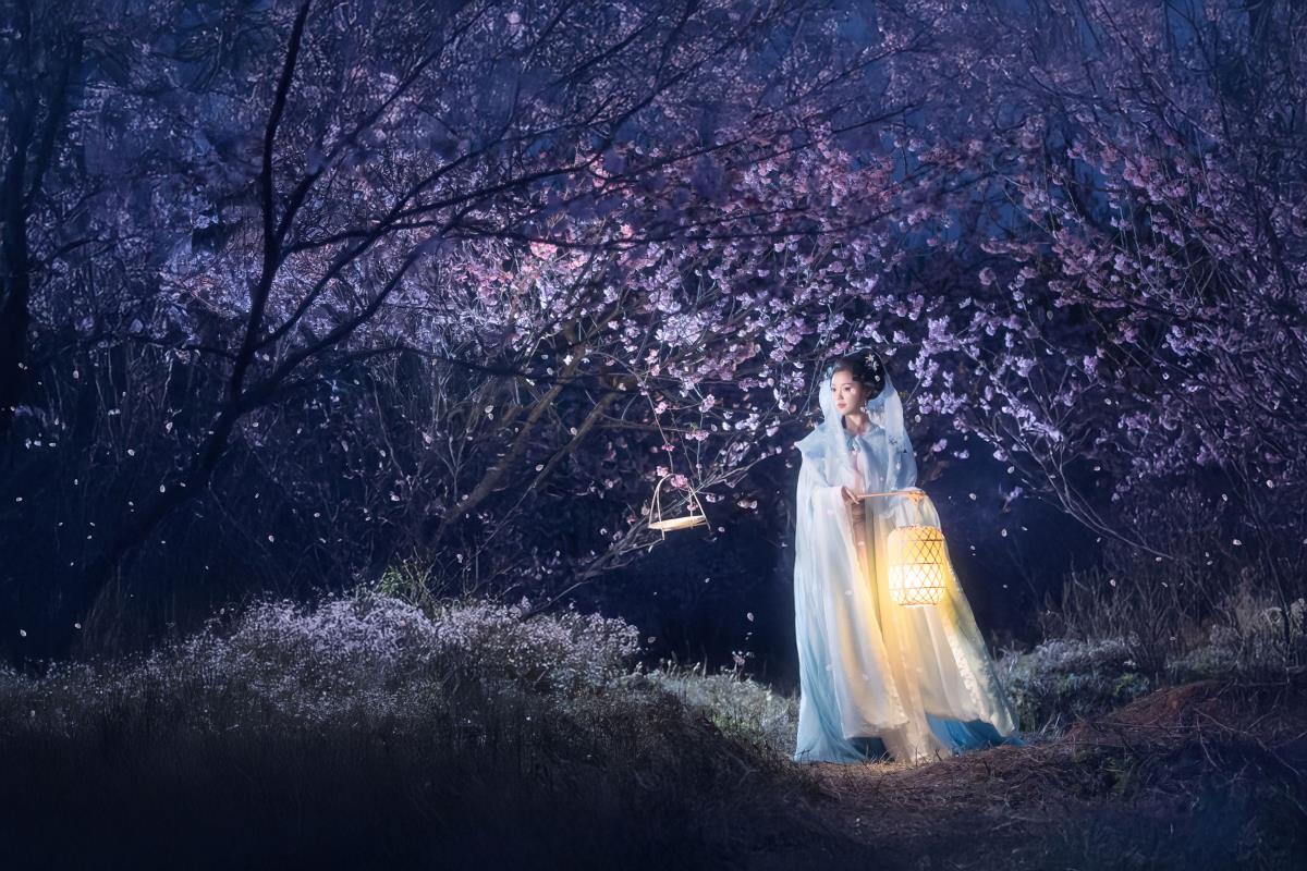 梦遣看花人，画里半生浮梦