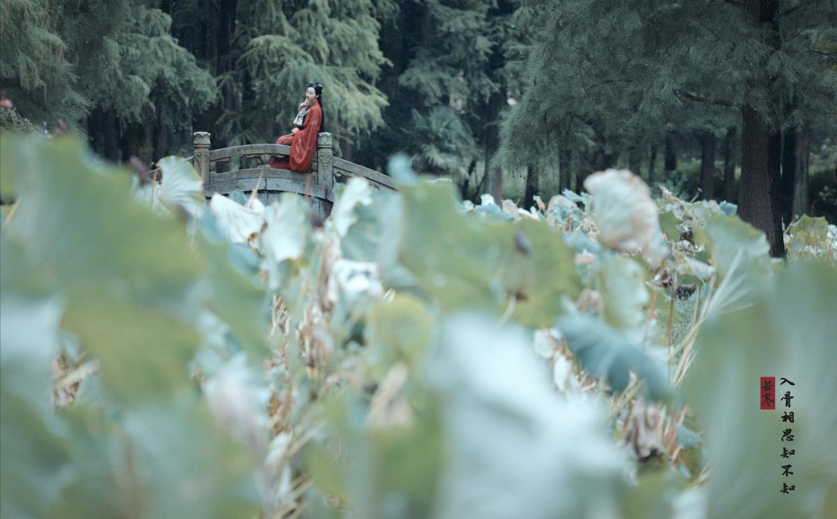 玲珑骰子寄相思，入骨深情知不知