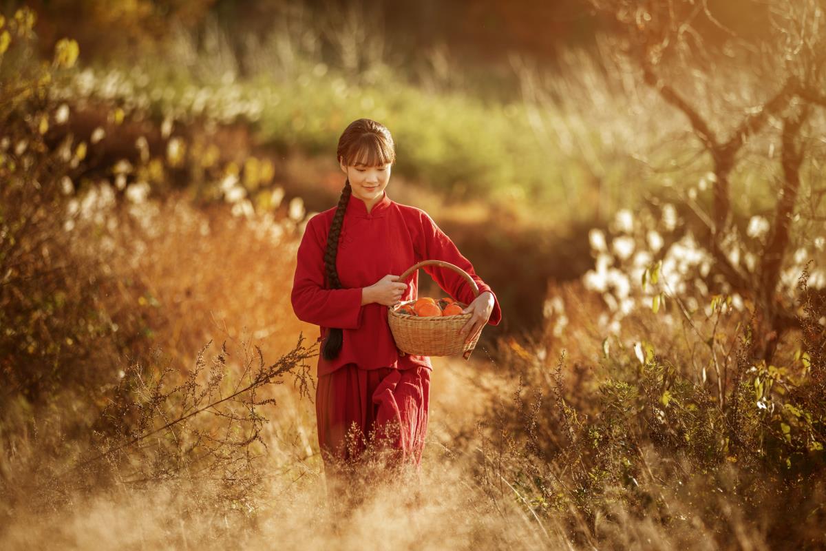 桐家沟的秋韵：清风、飞鸿与荻花云空下的情思