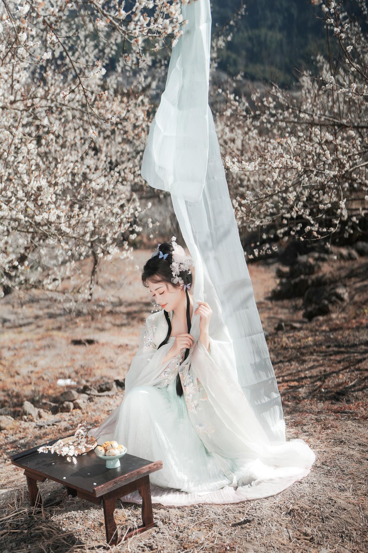 古风梅花：漫山白处，蝶舞蜂飞入梦来，化雪润苍穹