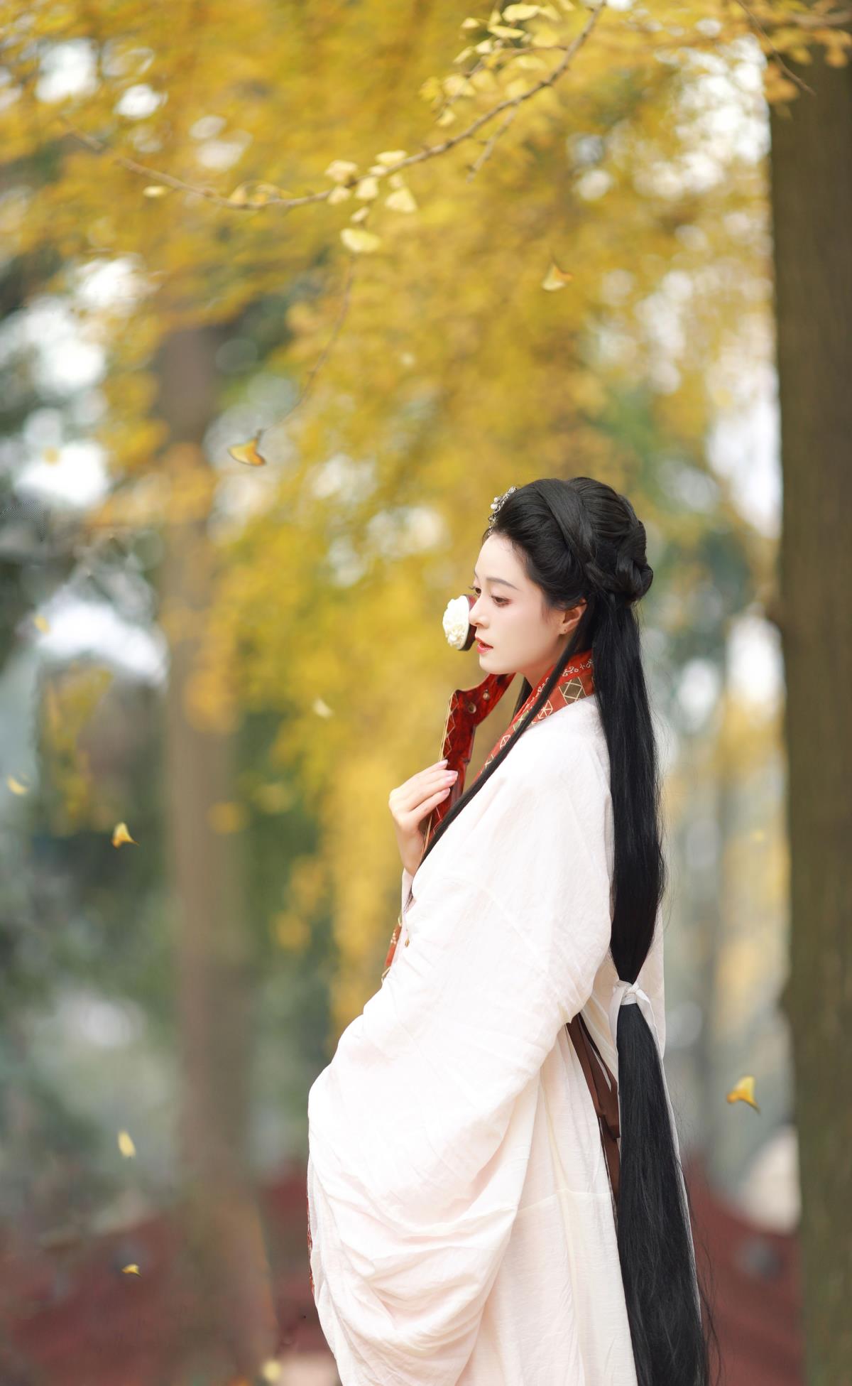 秋意·银杏间的禅思