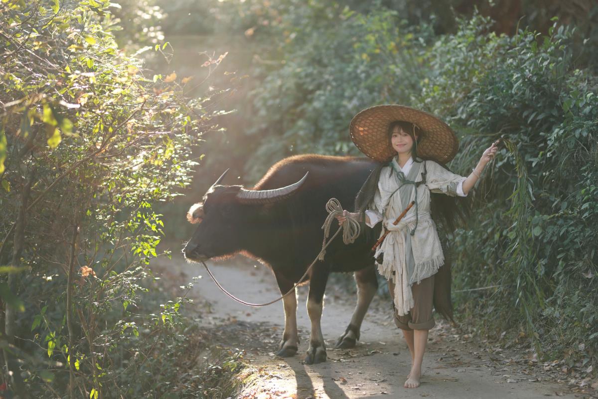 《借问酒家处，遥指杏花村》古风禅意之唯美氛围