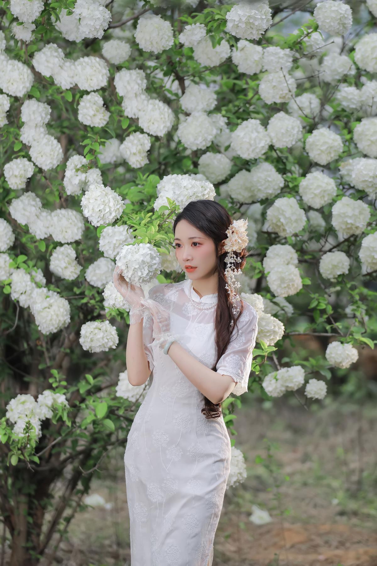 春日物语：南风暖窗，万物复苏时的唯美旗袍风情