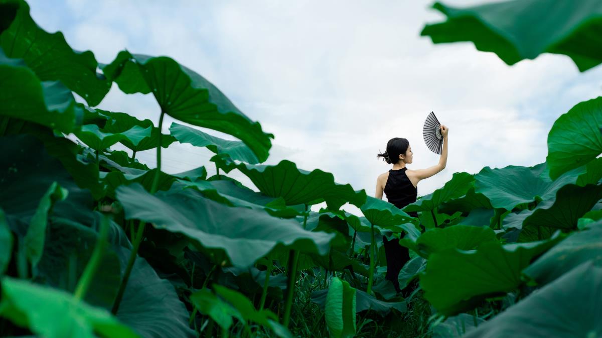 《美人装韵，荷香染夏》 解析：“美人装”直接点明了与美人相关的服饰元素，“荷香染夏”描绘出了夏日荷塘中荷叶飘香的美好意境，将美人装与夏日荷塘相结合，富有诗意和美感，符合文艺向风格的要求。
