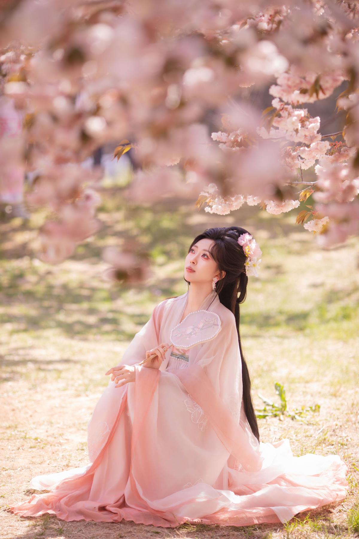 樱园光影间，邂逅古风春日的花下缱绻