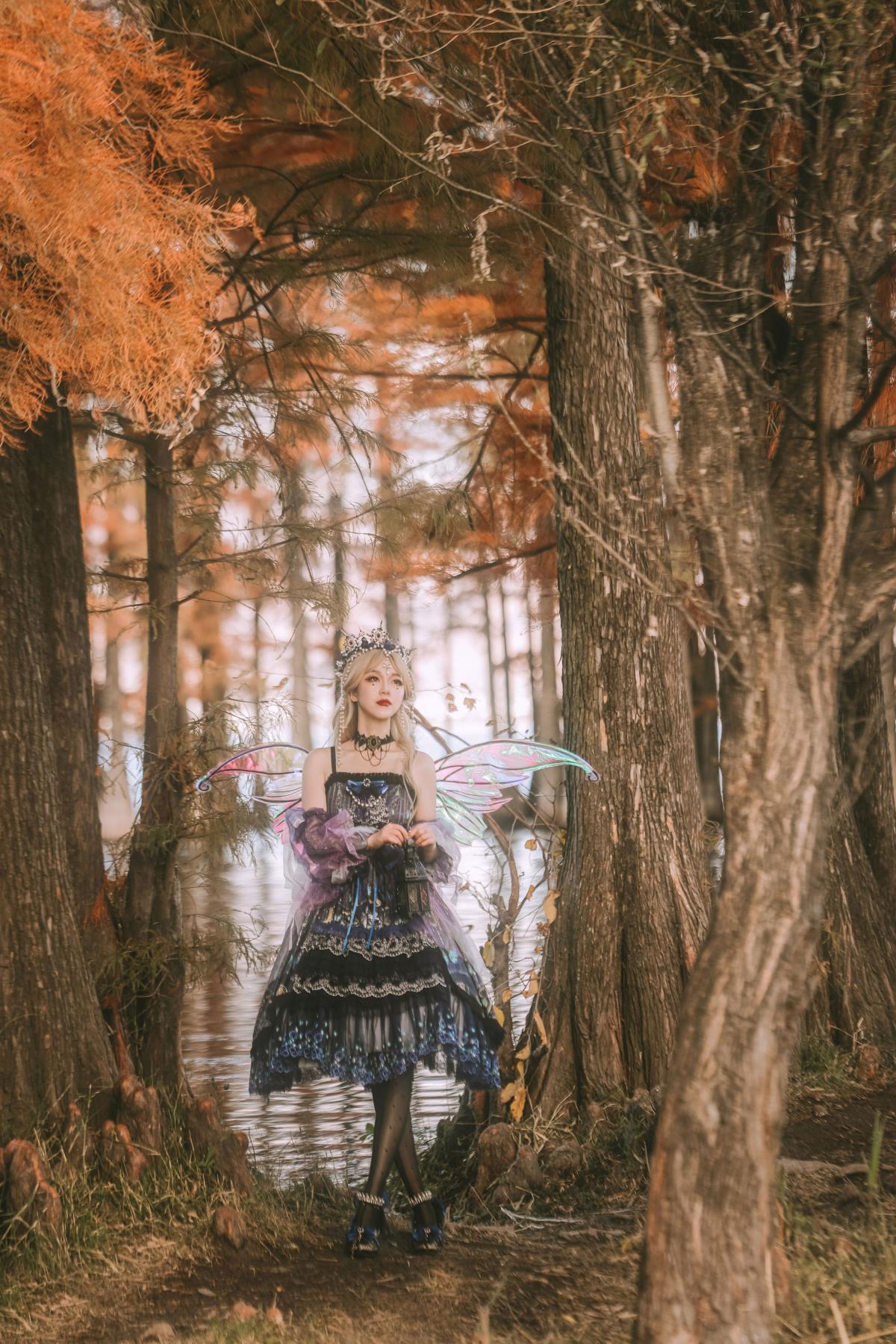 暗夜精灵：心之秘语与林间守望