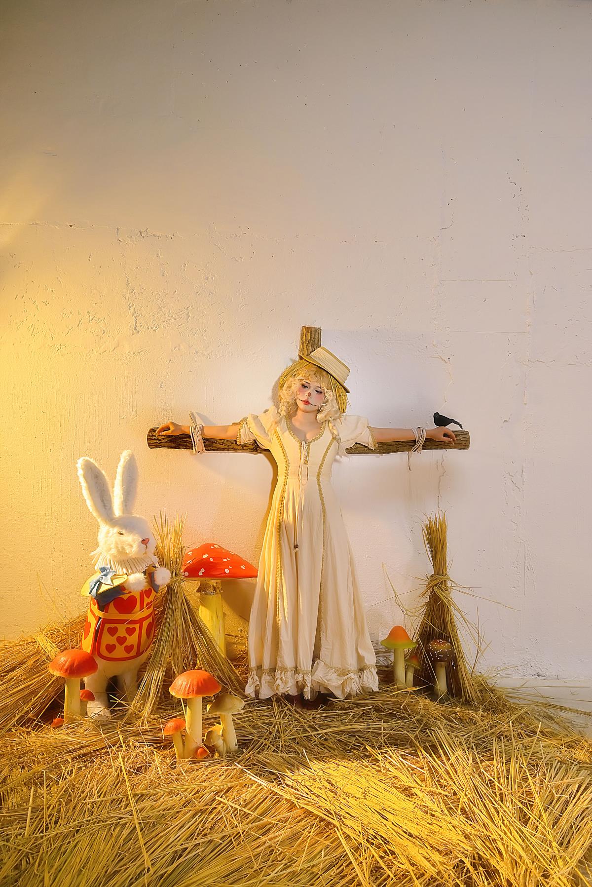 《麦田里，睡眼惺忪的稻草人睁开眼，感受世界的开心与Cosplay的奇妙》 或者 《麦田稻草人初醒，于Cosplay之境邂逅别样开心》