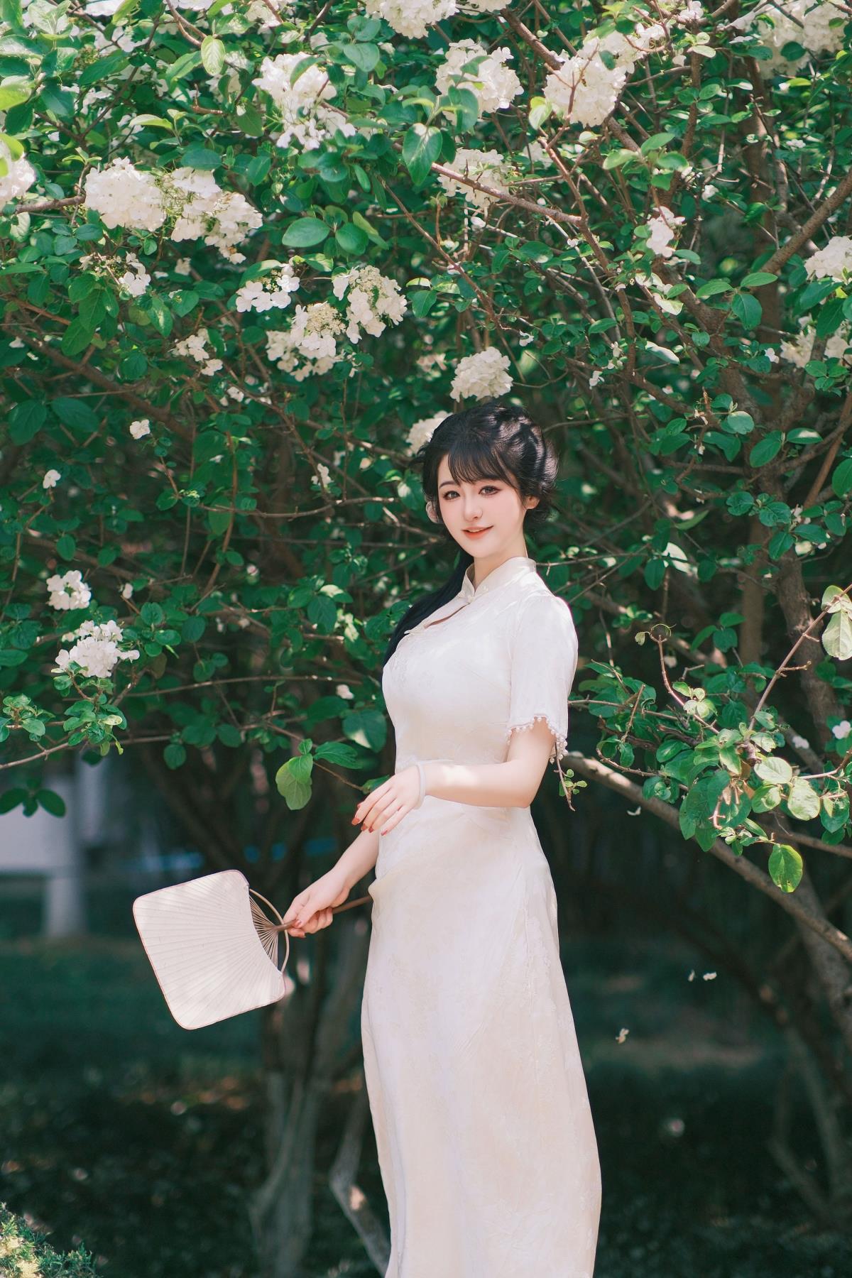 花落白处春归梦，旗袍佳人韵国风