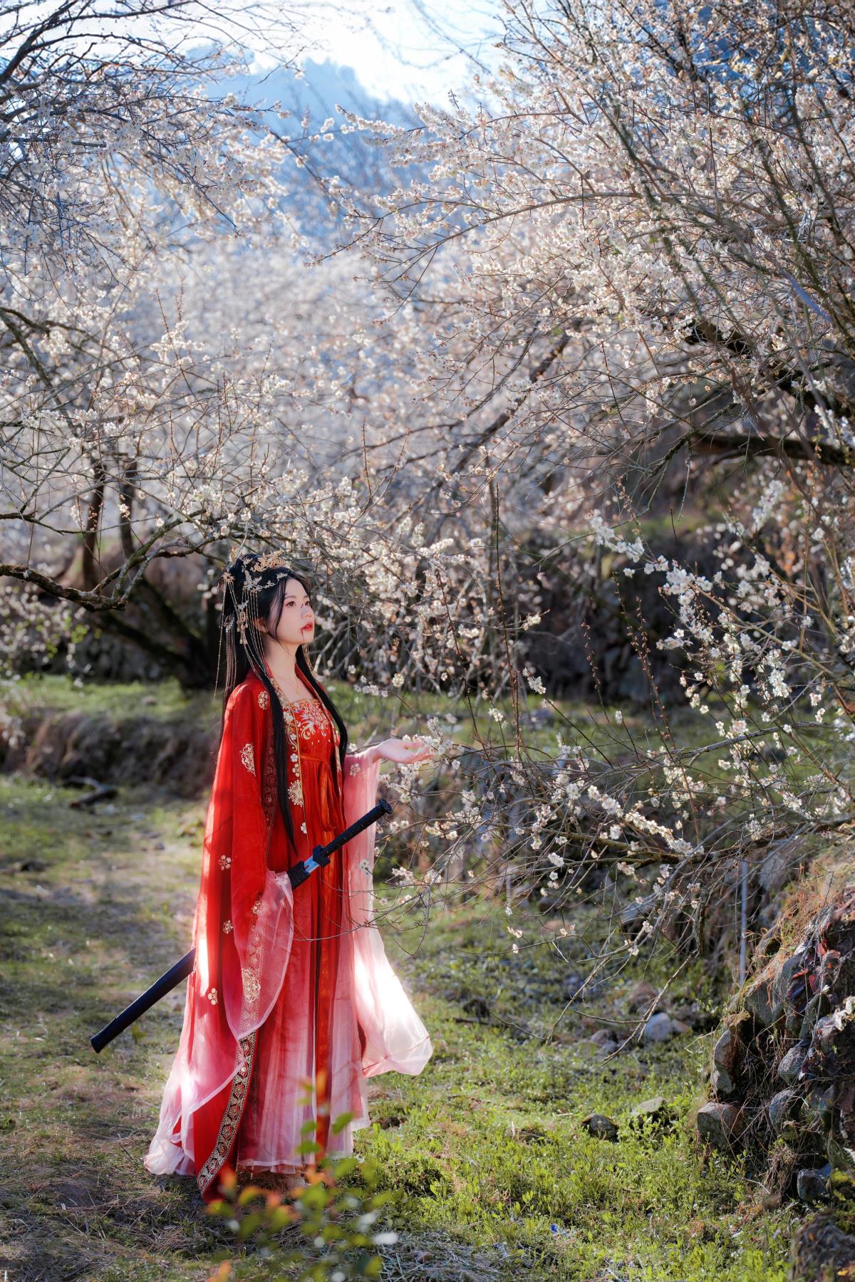 《古风梅花：亡国之影，红衣残梦，霞月交织间的渐行渐远》