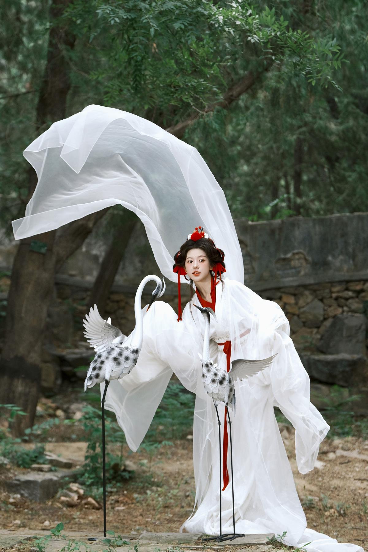 鹤：丹砂顶耀朝日，白玉羽着明裳