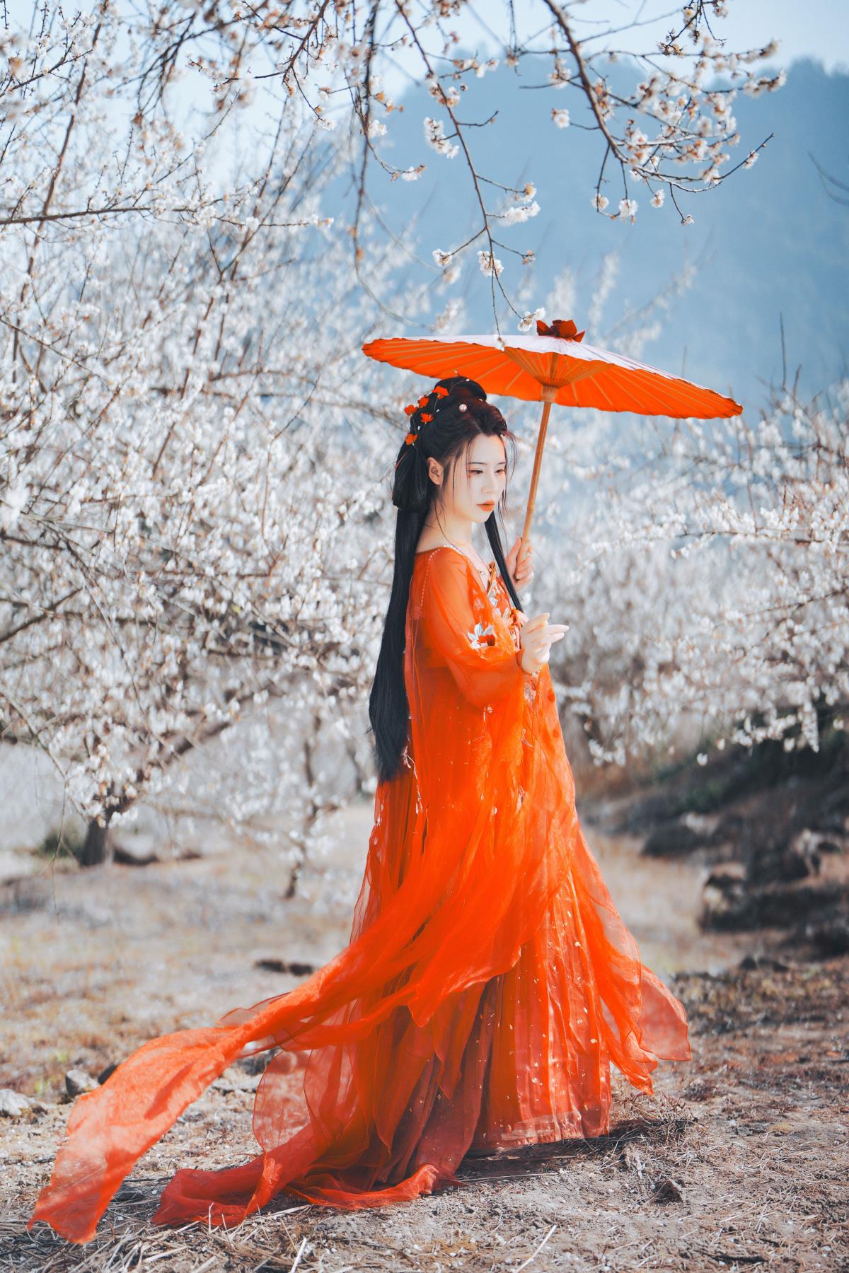 《霞织锦纱月照花，红衣汉服梦梅花》