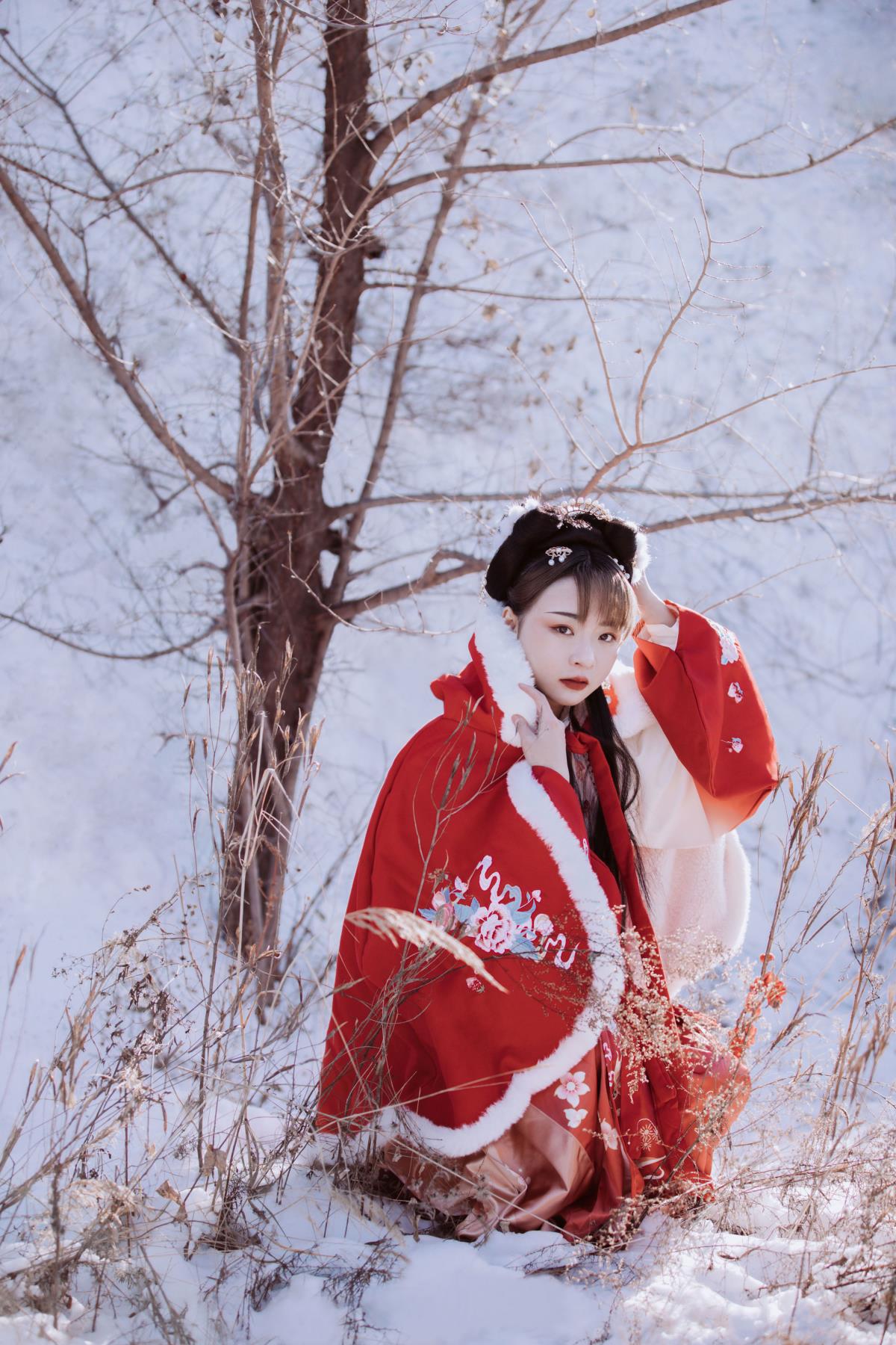 《千山暮雪间，那一抹相思与离缺》 或 《冬日雪景里，蜉蝣掠过的痴绝相思》 或 《揽镜孤月照离缺，千山暮雪的相思情》