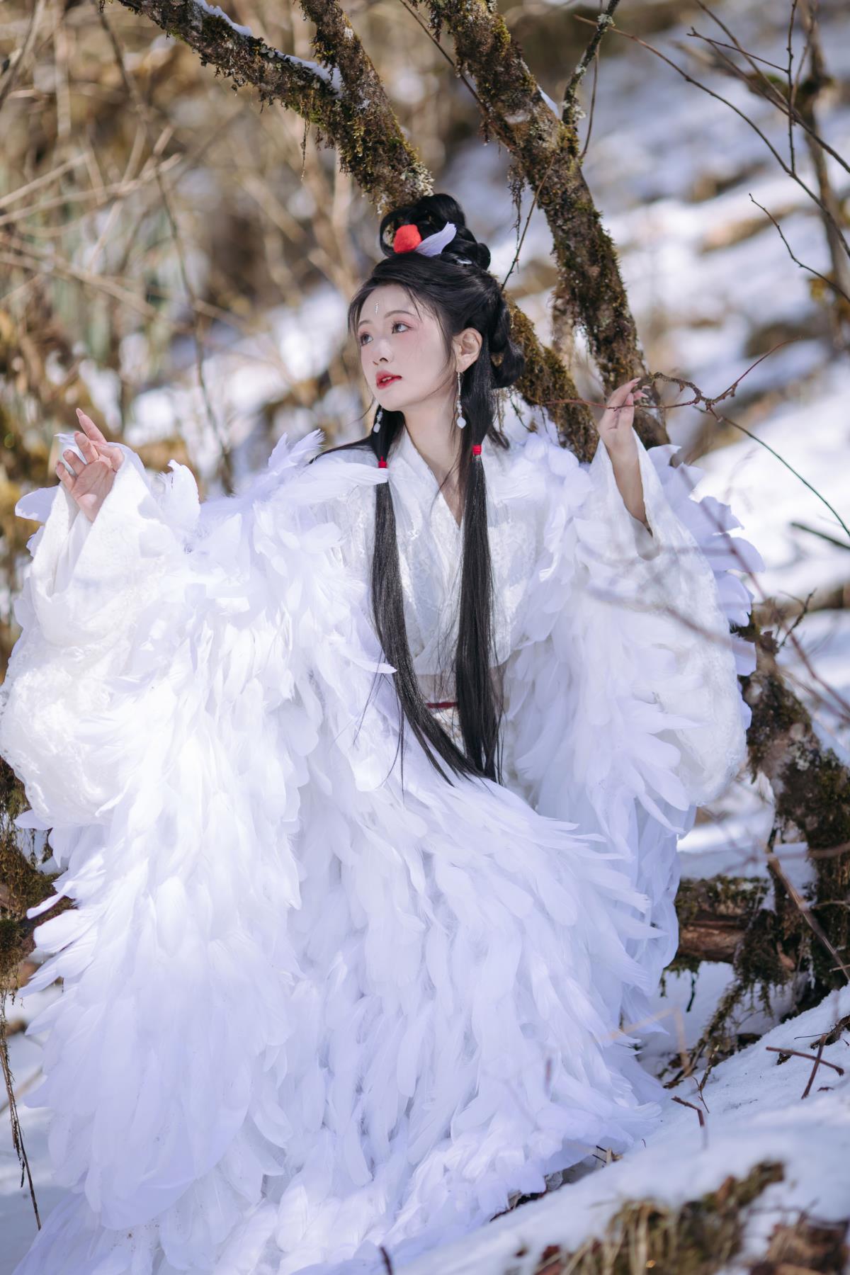 《鹤族圣女：冬日树林间的纯洁守护与梦幻Cosplay》